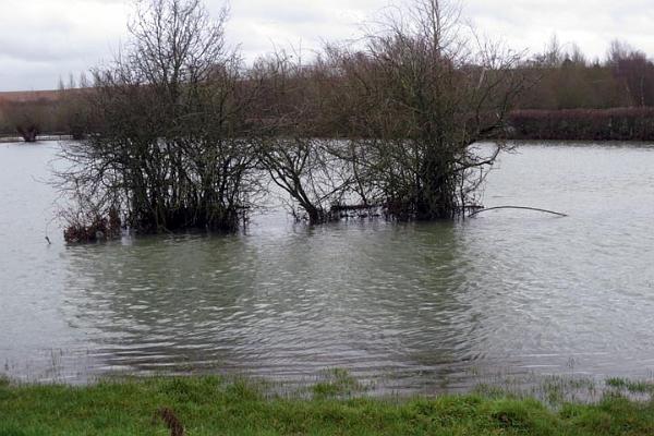 4. Flood.jpg -                                